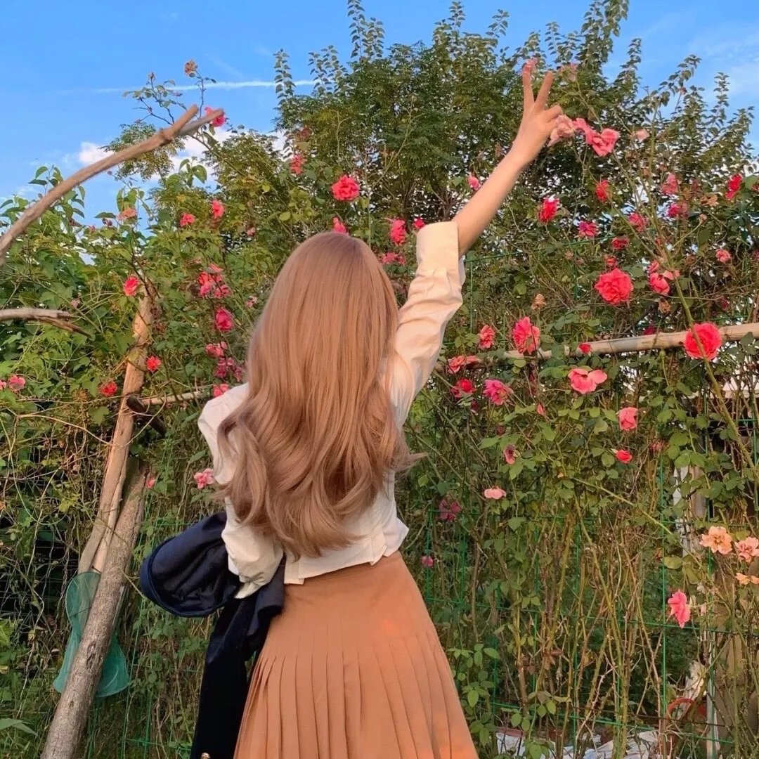 名门淑女